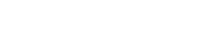 Bizcom Global Ventures Inc.